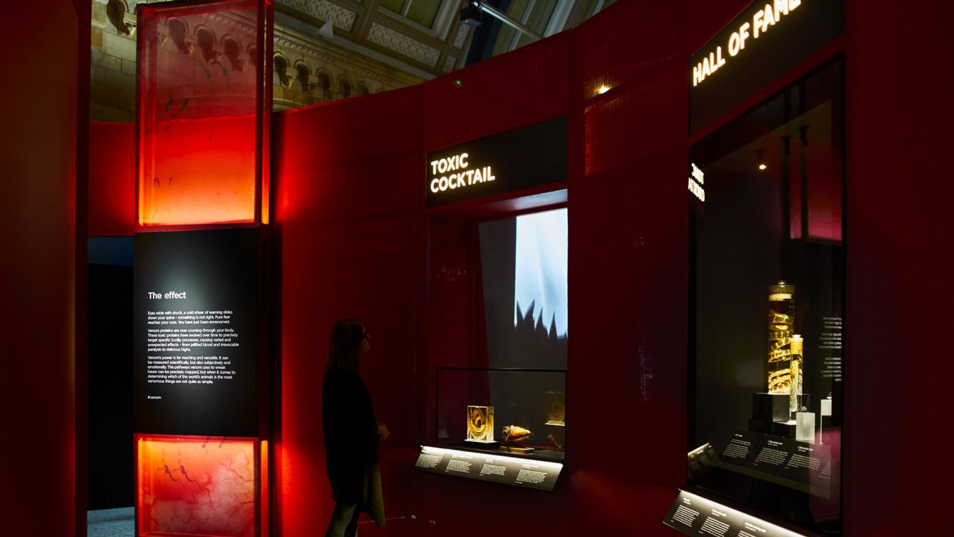 Inside the Natural History Museum - a person looking at their display